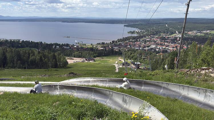 Race Down a Summer Toboggan Track Race Down a Summer Toboggan Track