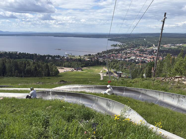 Race Down a Summer Toboggan Track Race Down a Summer Toboggan Track