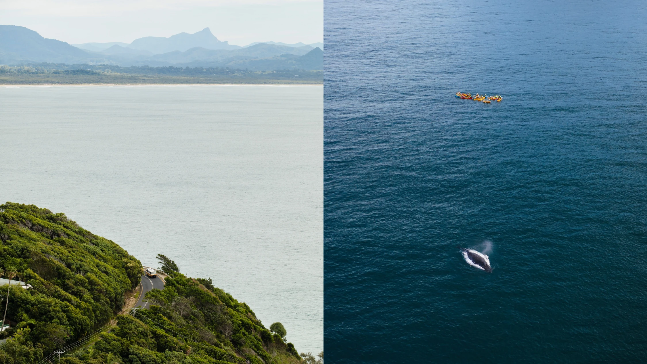 images of Byron Bay coastline including a whale sighting by some kayakers