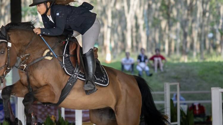 Watch show jumping and dressage at Niran Farm Watch show jumping and dressage at Niran Farm