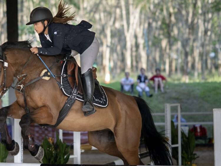 Watch show jumping and dressage at Niran Farm Watch show jumping and dressage at Niran Farm