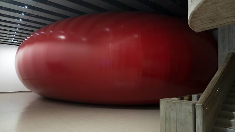 Installation view of Anish Kapoor’s ‘All of Nothing’ (2026) at the Hayward Gallery