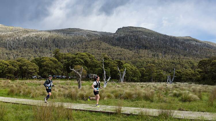 Runners during the Ultra-Trail Kosciusko by UTMB event in Kosciuszko National Park. Runners during the Ultra-Trail Kosciusko by UTMB event in Kosciuszko National Park.