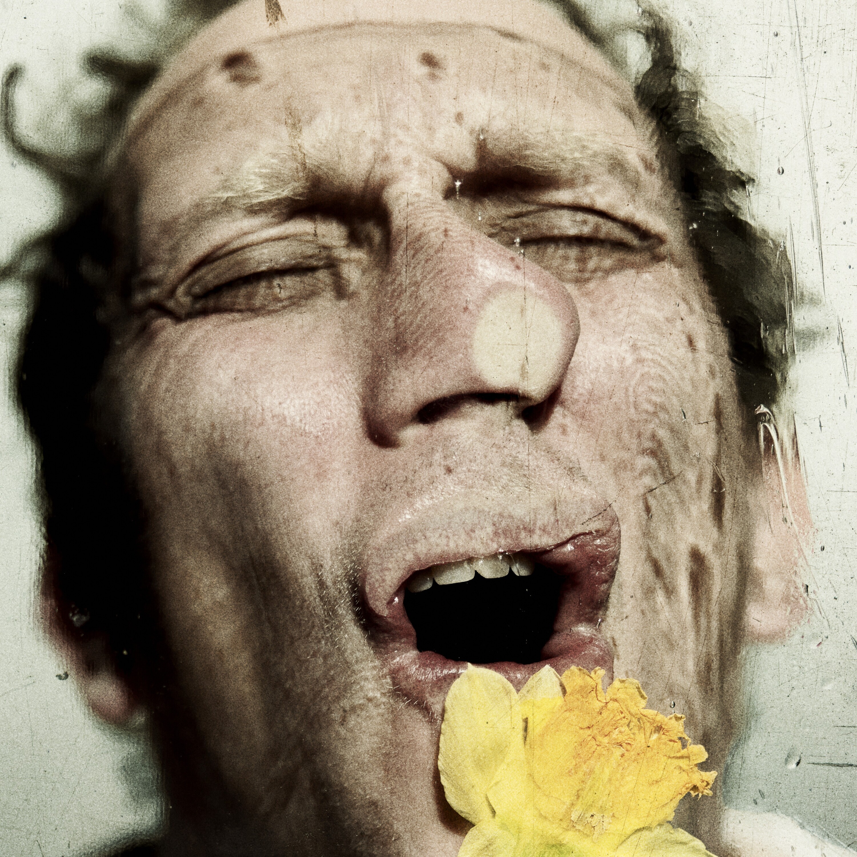 Cleansed, Almeida Theatre, 2026