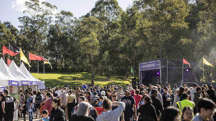 A celebration in a park