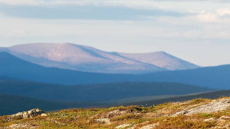 Kiilopää, Saariselkä Kiilopää, Saariselkä