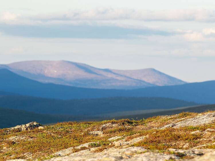 Kiilopää, Saariselkä Kiilopää, Saariselkä