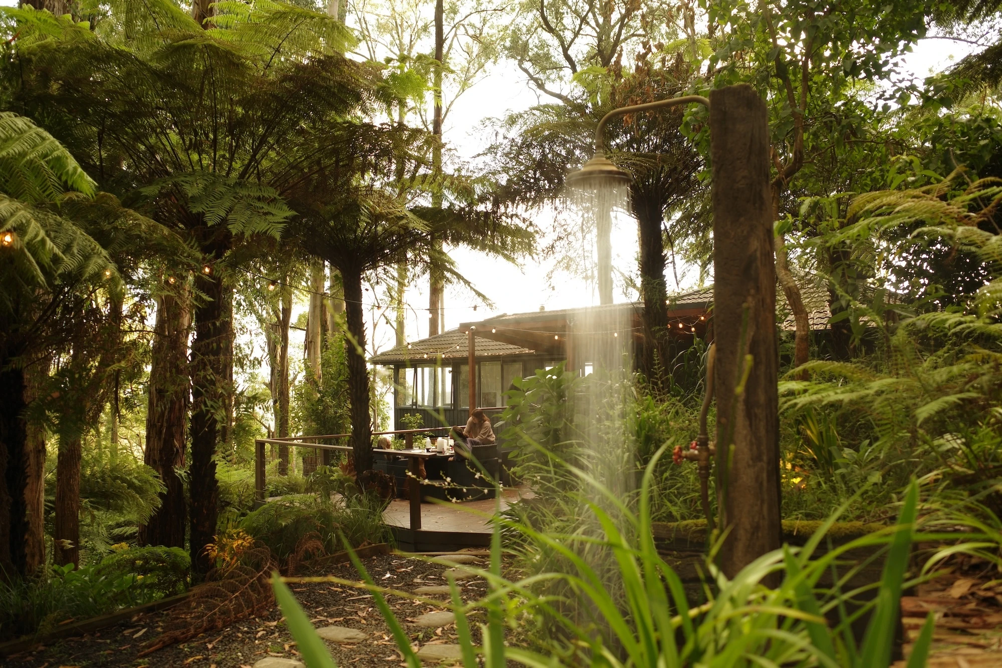 Fern trees surrounding Forest Retreat