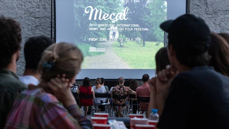 Mecal Air 