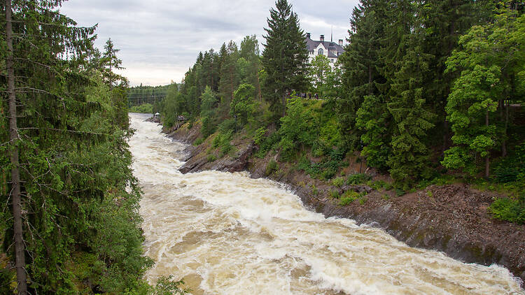 Most powerful nature show: Imatrankoski Rapids