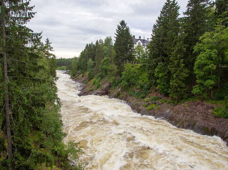 Most powerful nature show: Imatrankoski Rapids
