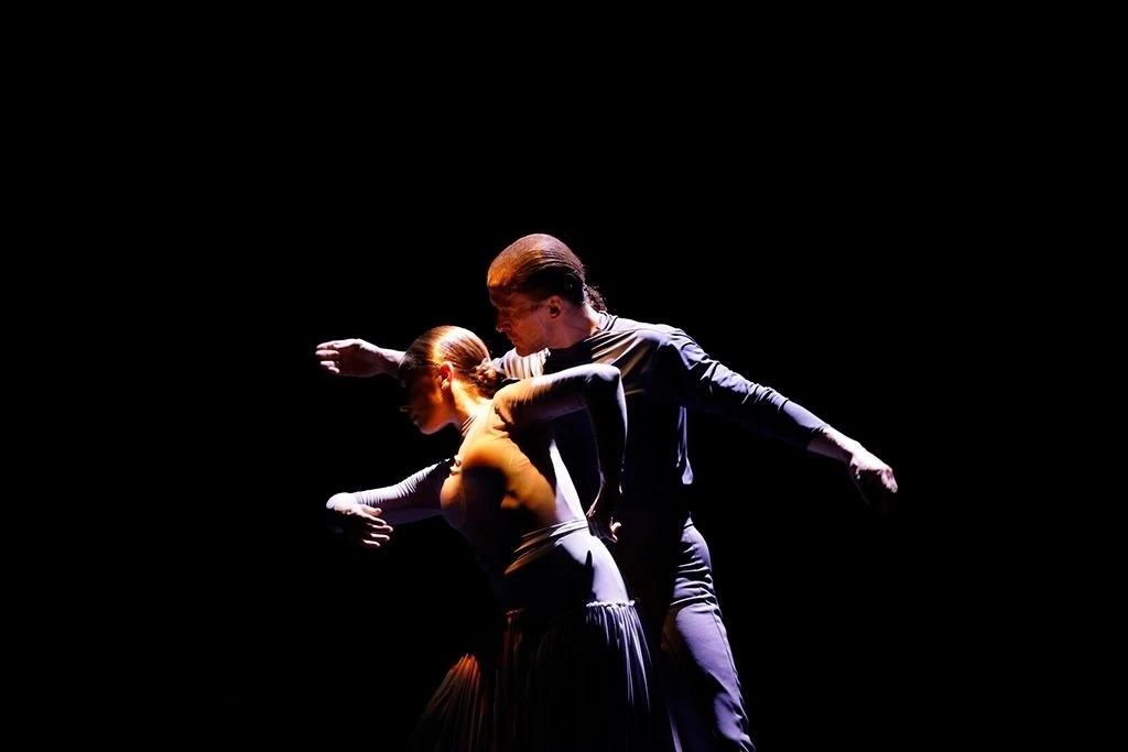Villanos del Flamenco