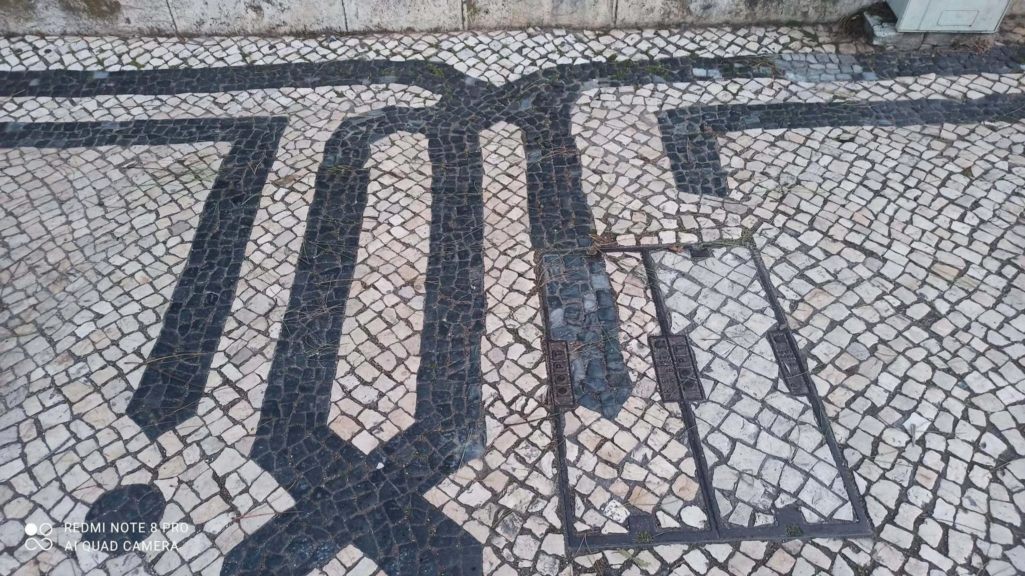 Reabilita&ccedil;&atilde;o de cal&ccedil;ada na Baixa