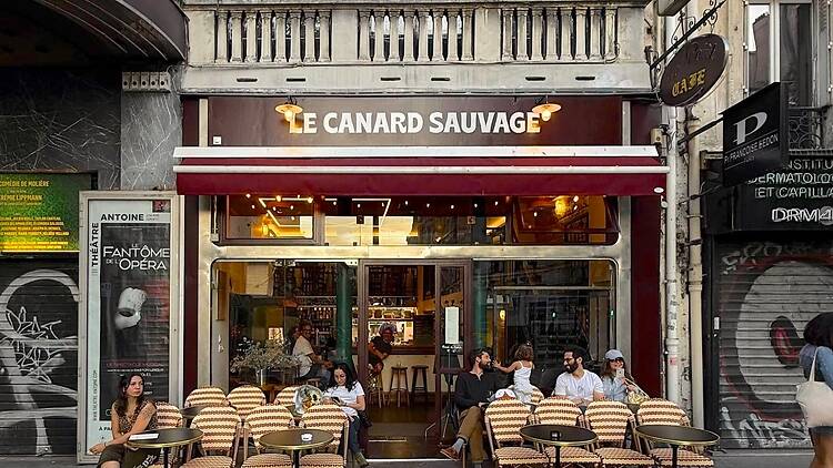 Le Canard sauvage