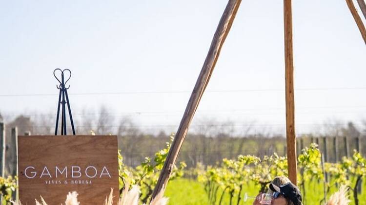 A Winery Day Without Leaving Buenos Aires A Winery Day Without Leaving Buenos Aires