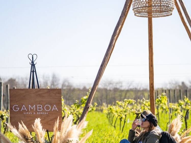 A Winery Day Without Leaving Buenos Aires A Winery Day Without Leaving Buenos Aires