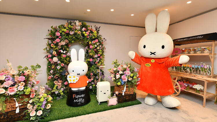 Flower Miffy Flower Miffy