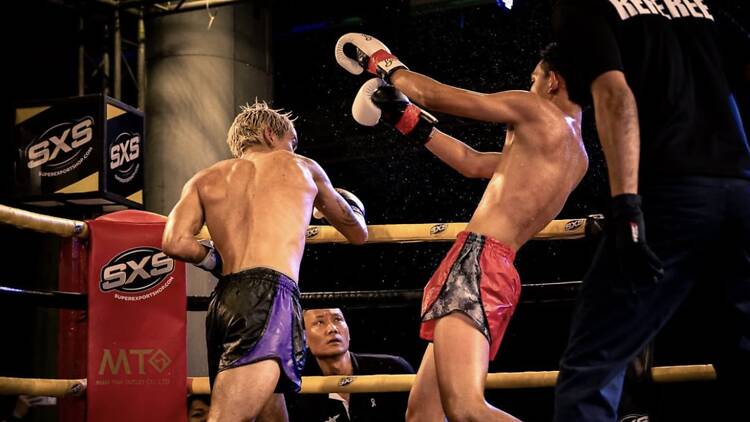 Watch Muay Thai without paying stadium prices Watch Muay Thai without paying stadium prices