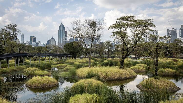 Follow the boardwalk into the city's urban jungle Follow the boardwalk into the city's urban jungle