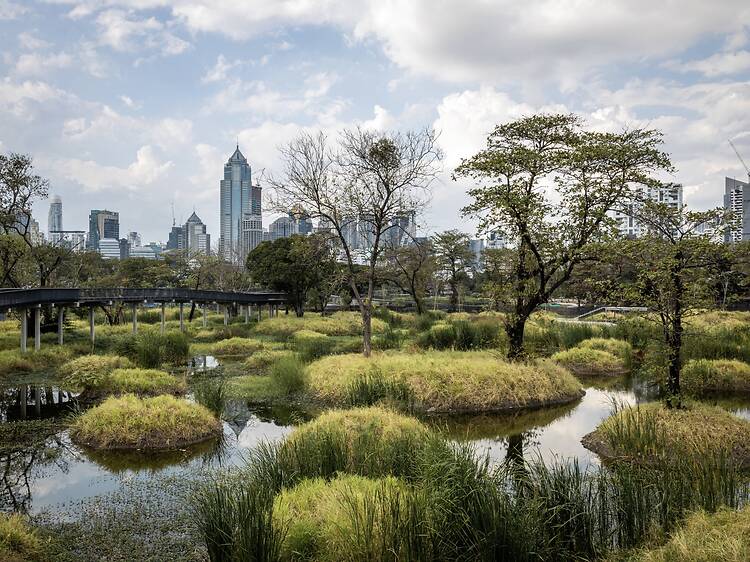 Follow the boardwalk into the city's urban jungle Follow the boardwalk into the city's urban jungle