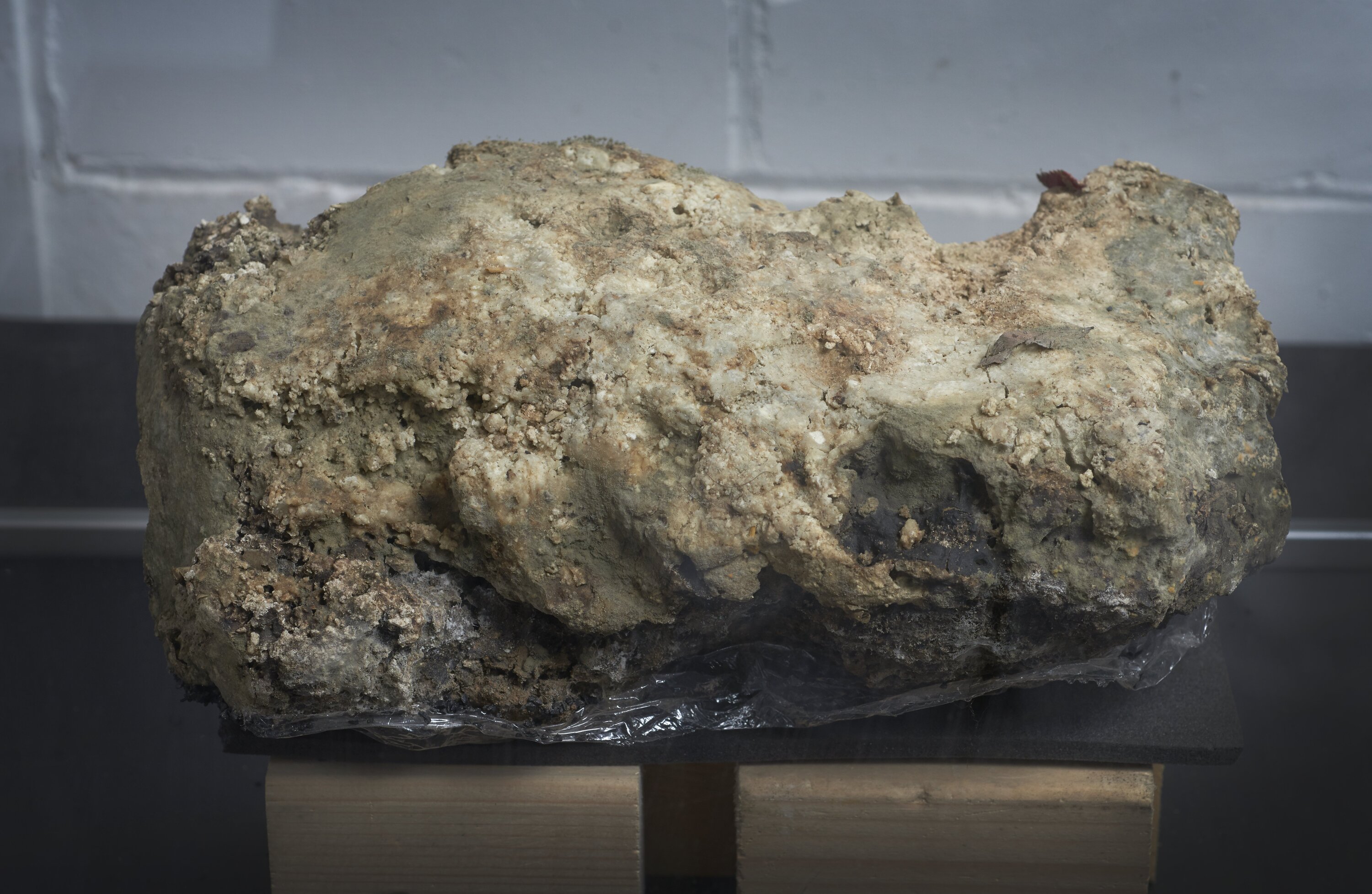 Sample of the Whitechapel 'fatberg'