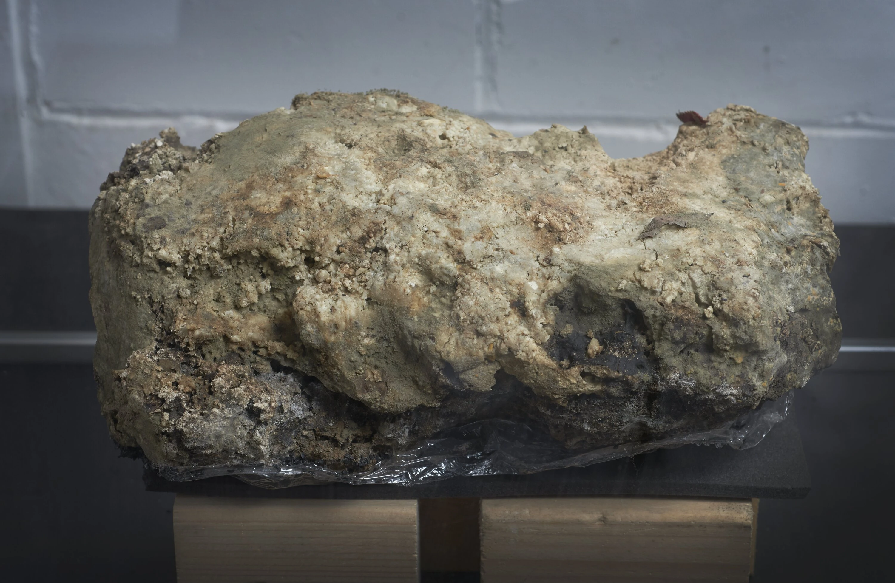 Sample of the Whitechapel 'fatberg'