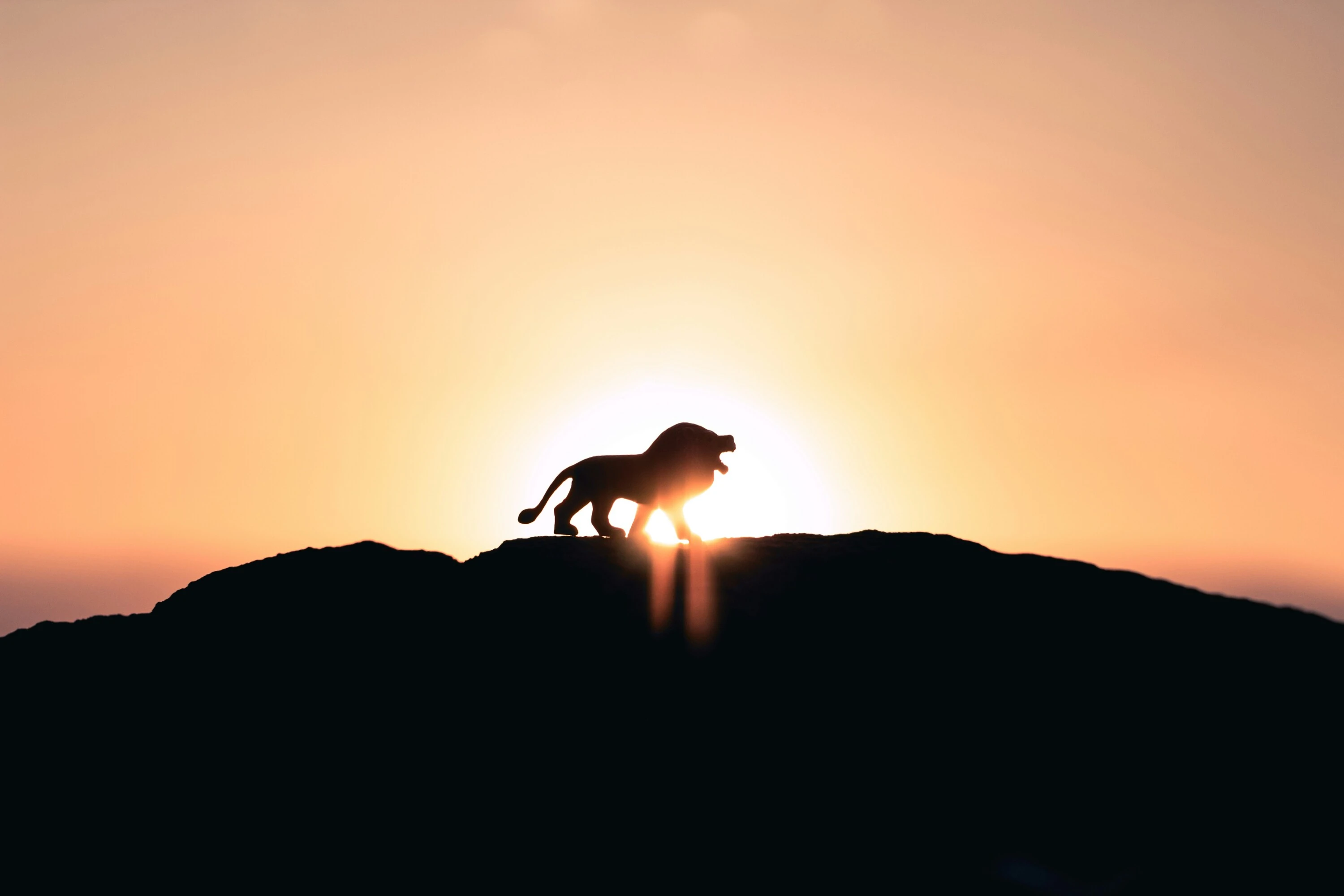 Everyone&rsquo;s favourite lion cub Simba returns to the National Children&rsquo;s Theatre in Disney&rsquo;s The Lion King JR. 