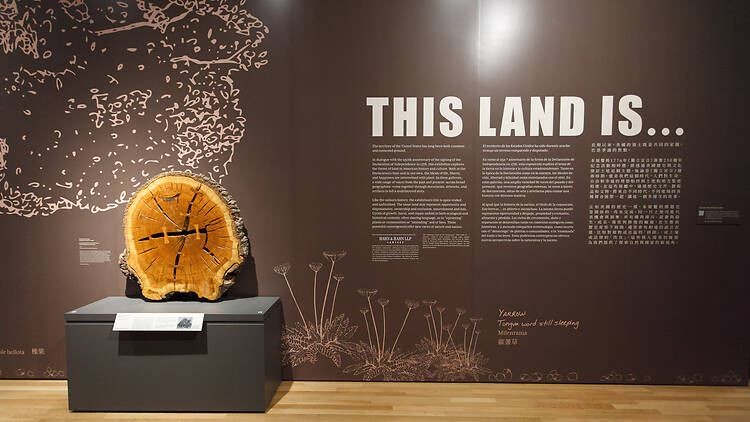 This Land Is…