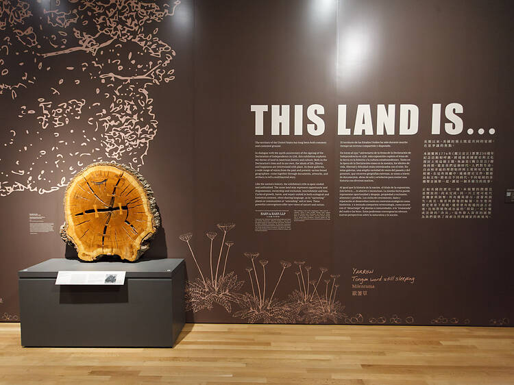 This Land Is…