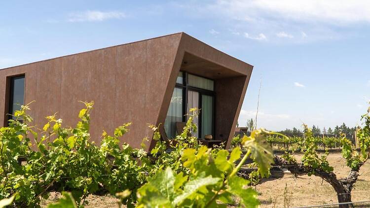 Andeluna Winery Lodge: despertar entre viñedos y la inmensidad de Gualtallary