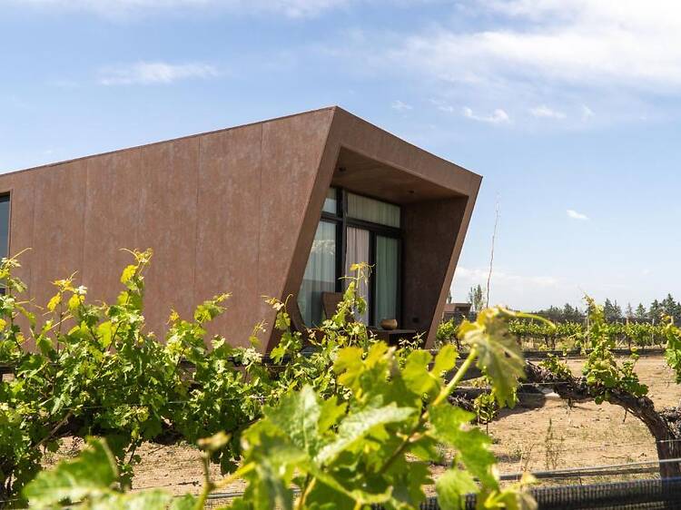 Andeluna Winery Lodge: despertar entre viñedos y la inmensidad de Gualtallary