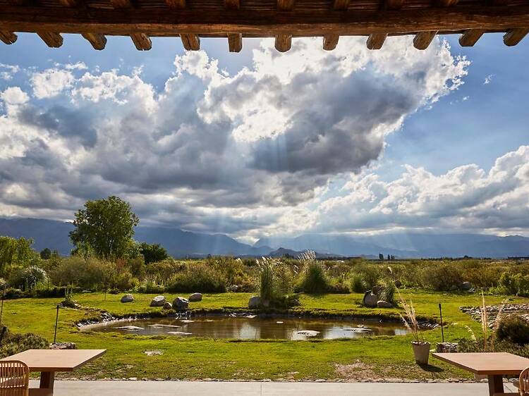Casa de Huéspedes Bodega Gimenez Riili: la experiencia de sentirse invitado a una finca familiar