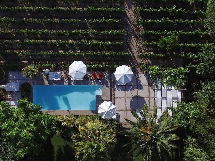 Finca Adalgisa: dormir entre viñas centenarias y el encanto de Chacras de Coria