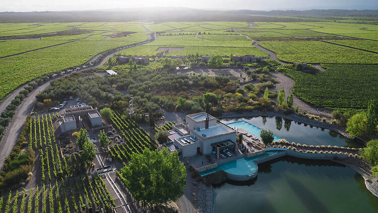 Dormir entre viñedos en Mendoza: 10 bodegas para vivirlo desde adentro