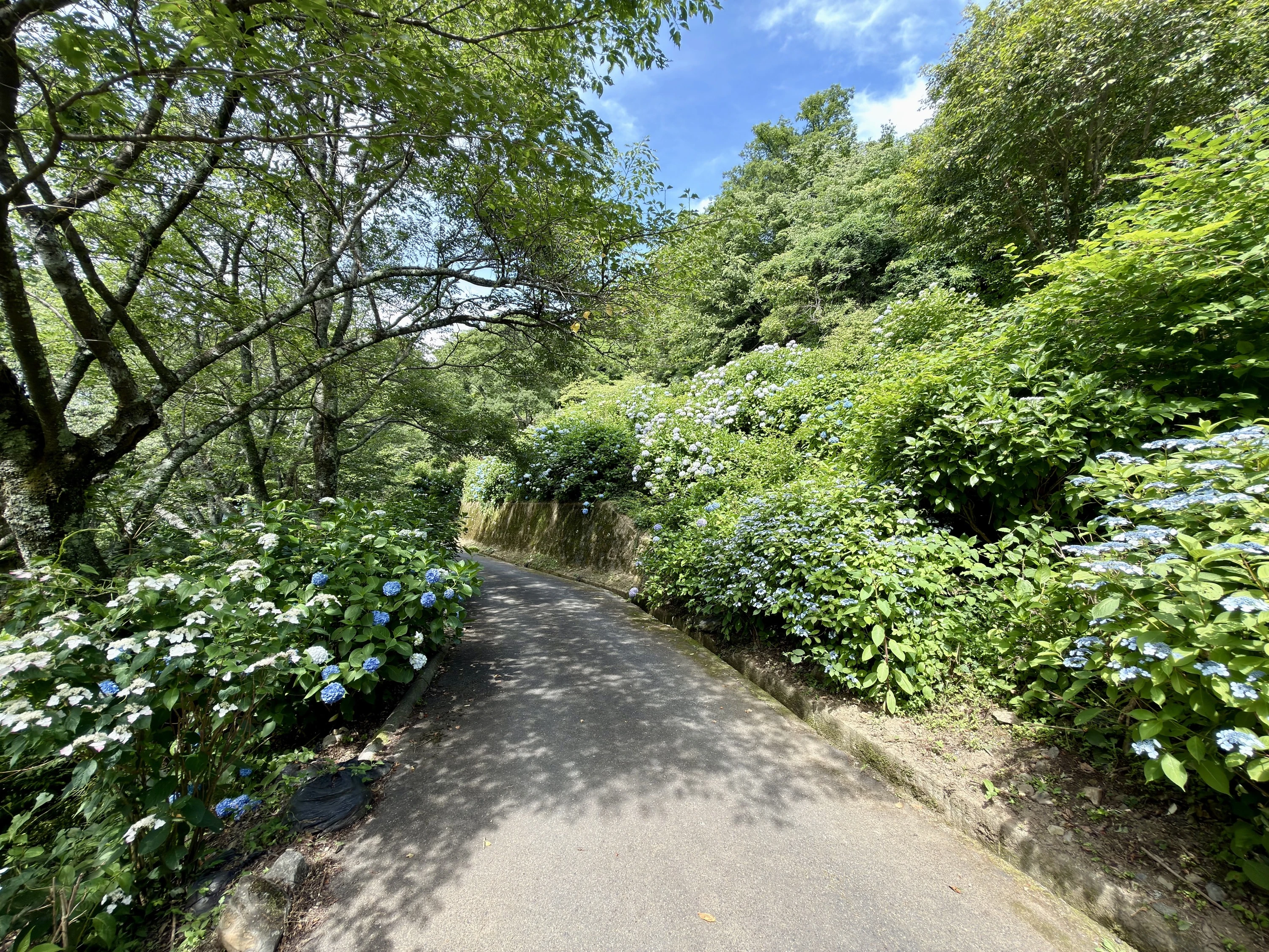 Nukata Park