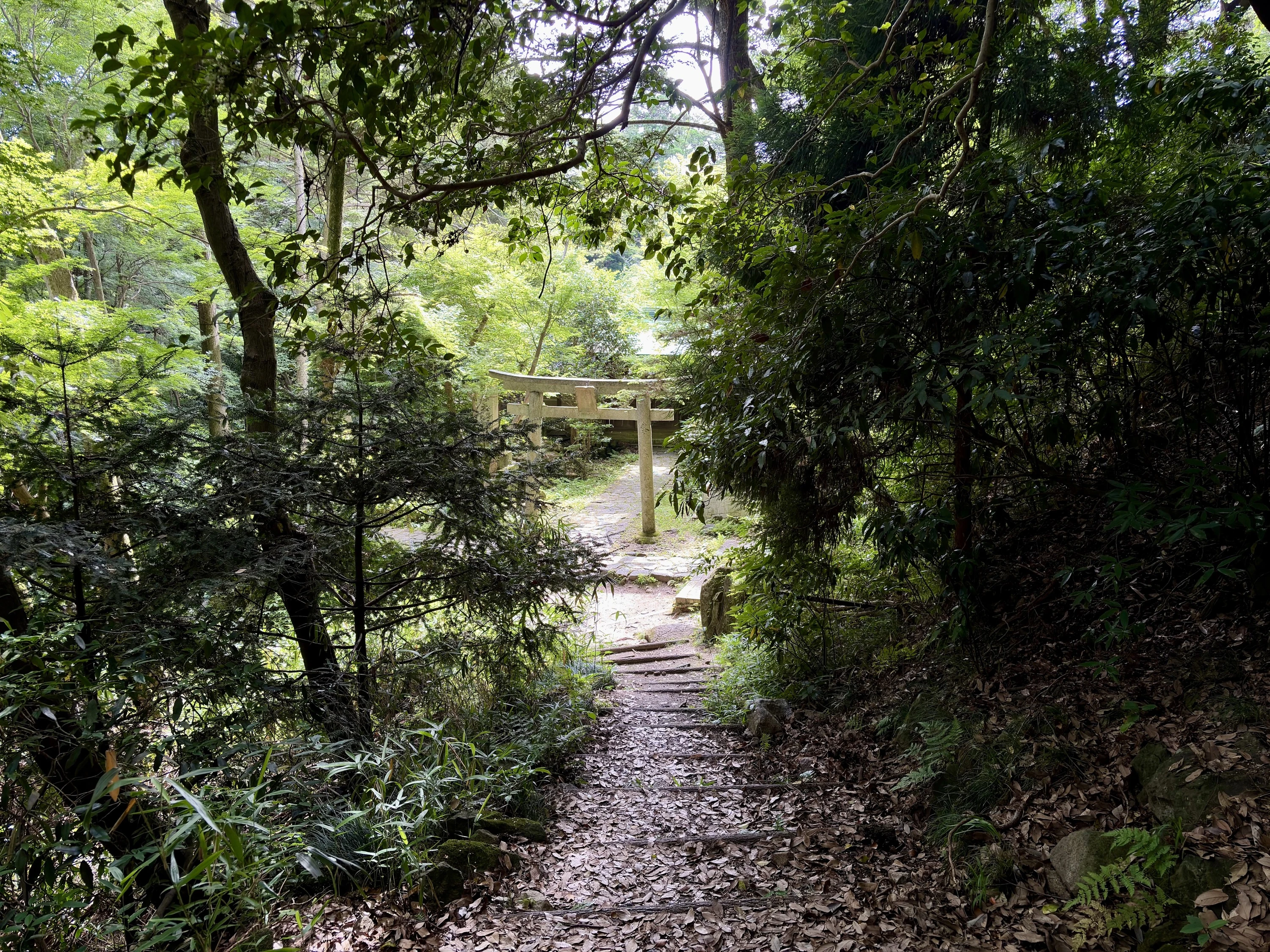 Zushidani hiking trail