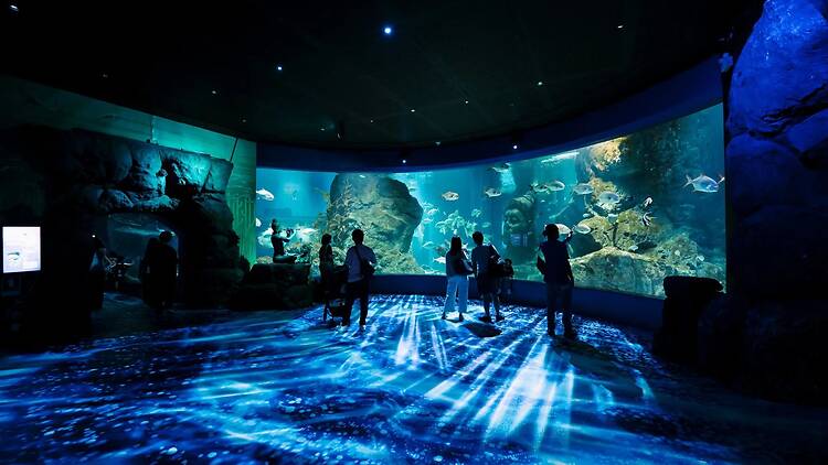 ดำดิ่งสู่โลกใต้ทะเลที่ Sea Life Bangkok
