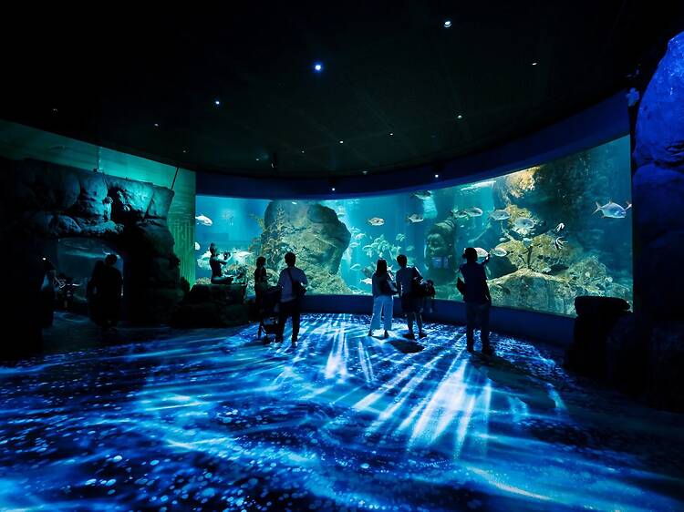 ดำดิ่งสู่โลกใต้ทะเลที่ Sea Life Bangkok
