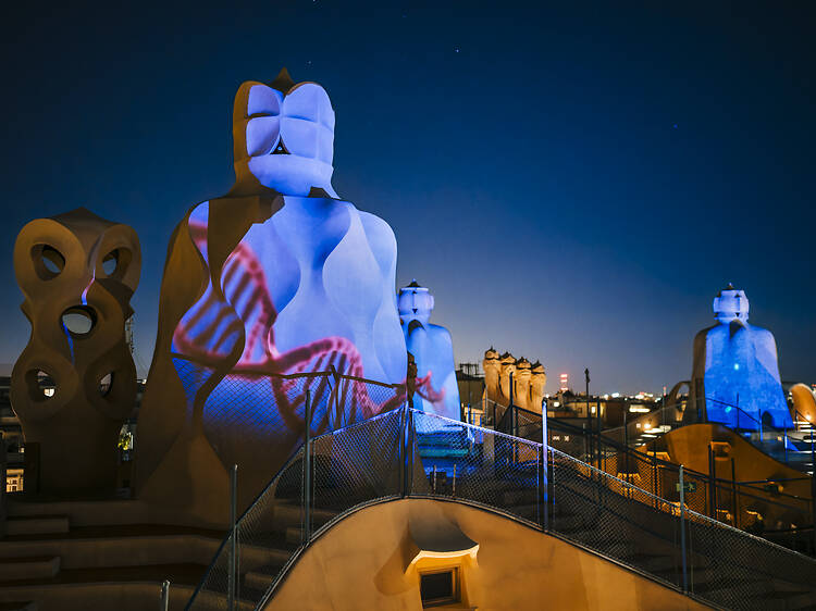L'experiència visual que us farà gaudir d'una nit diferent al terrat de La Pedrera