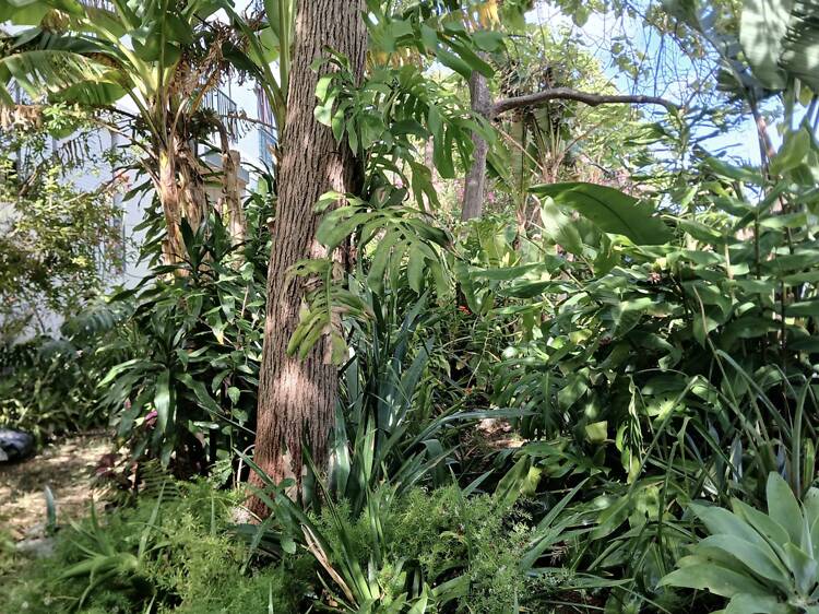 Jardim das Plantas Doadas Jardim das Plantas Doadas