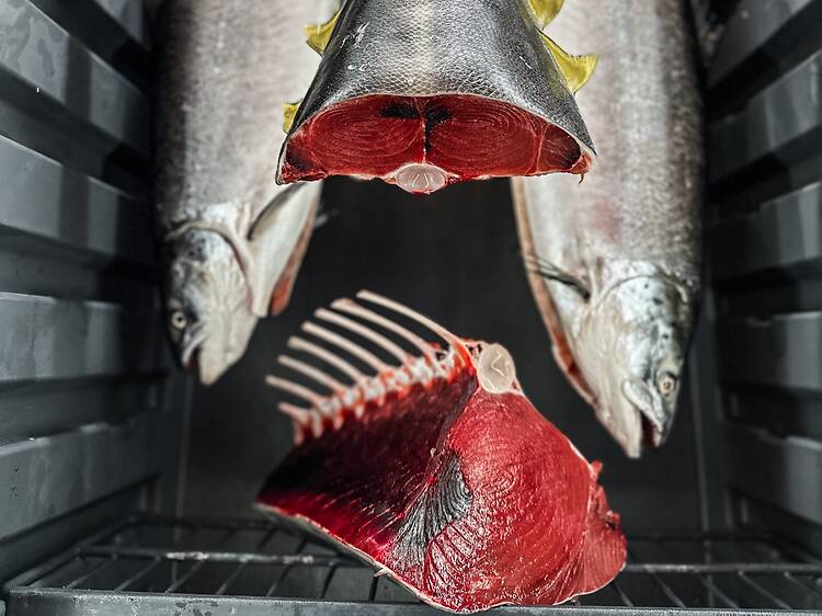 Seafood restaurant Tightline to open first Joburg branch this July