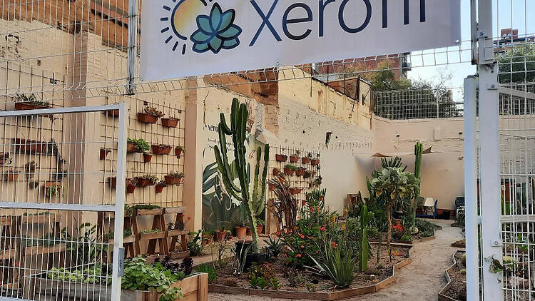 Racó Xeròfil Racó Xeròfil