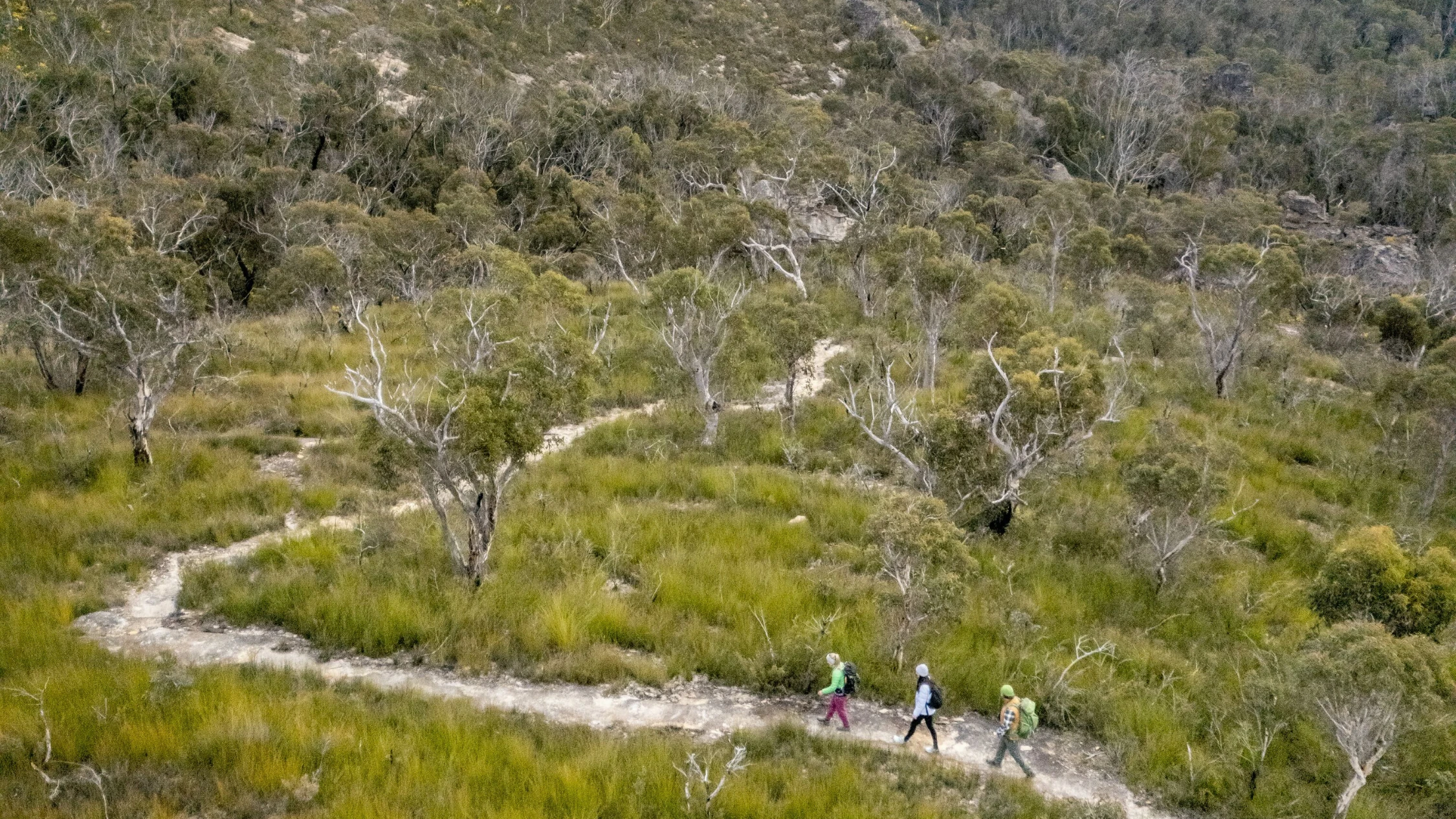 NSW National Park campground