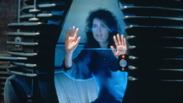 ‘La mosca (The fly)’ ‘La mosca (The fly)’