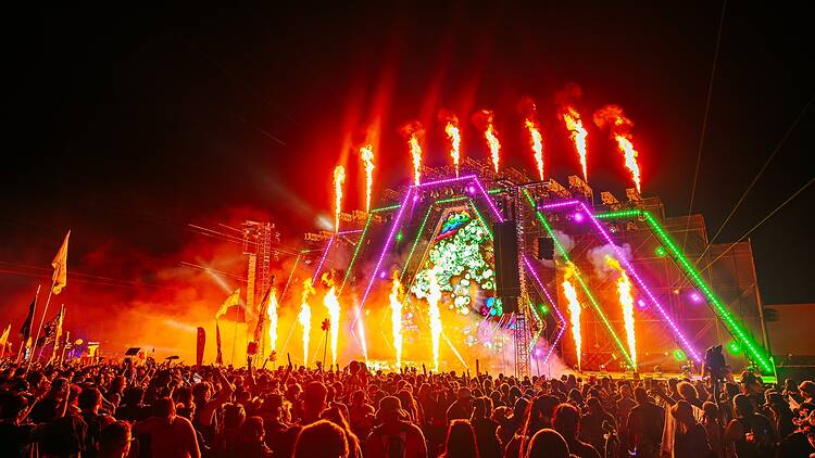 Nocturnal Wonderland Nocturnal Wonderland