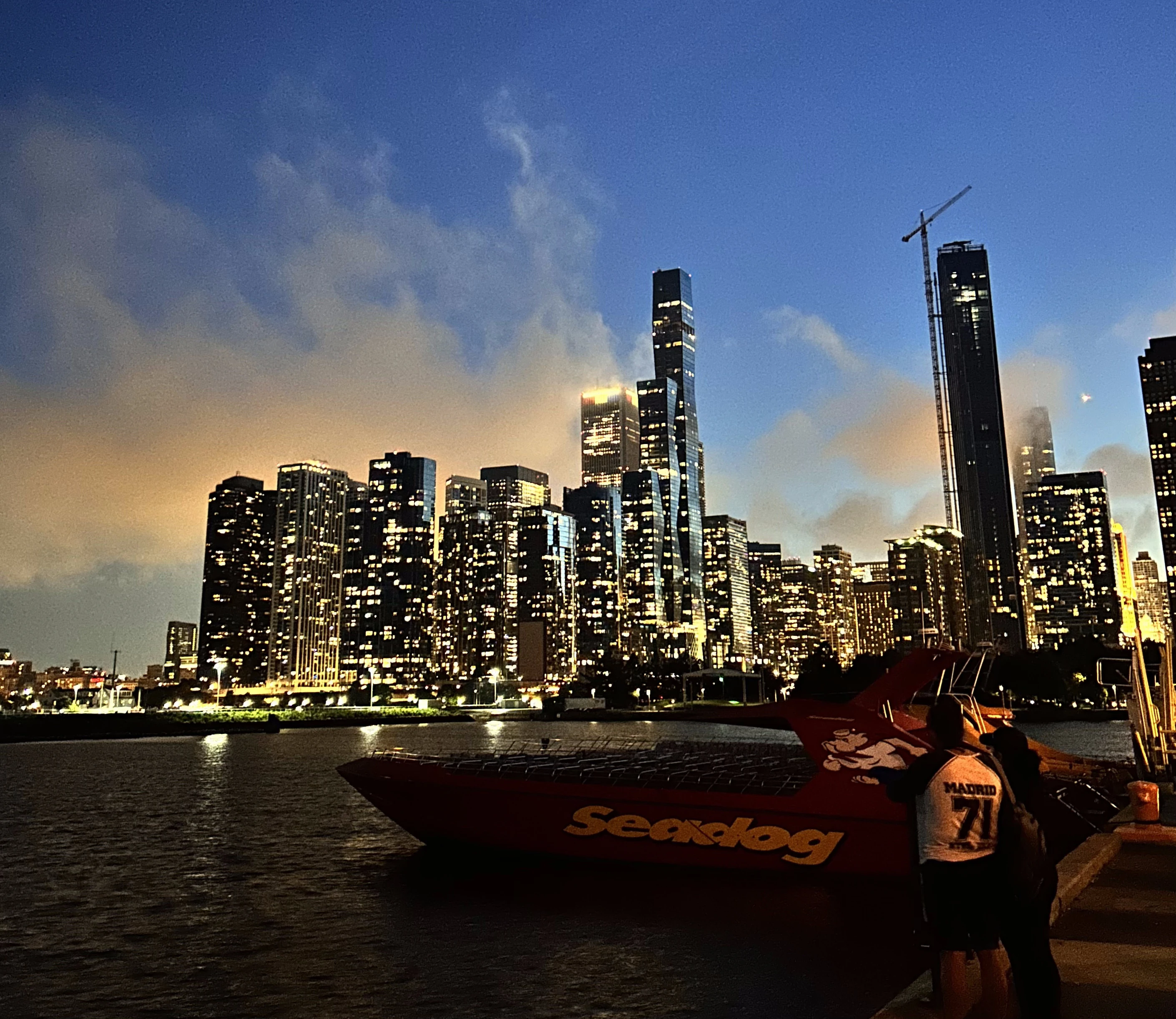 The view from Navy Pier at night