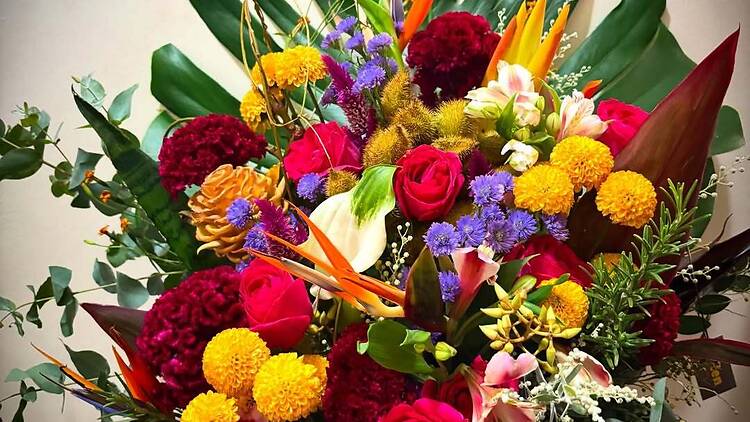 Pólen Flores e Plantas