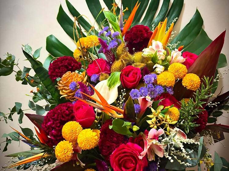 Pólen Flores e Plantas