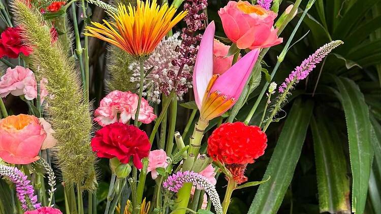 My Bloom