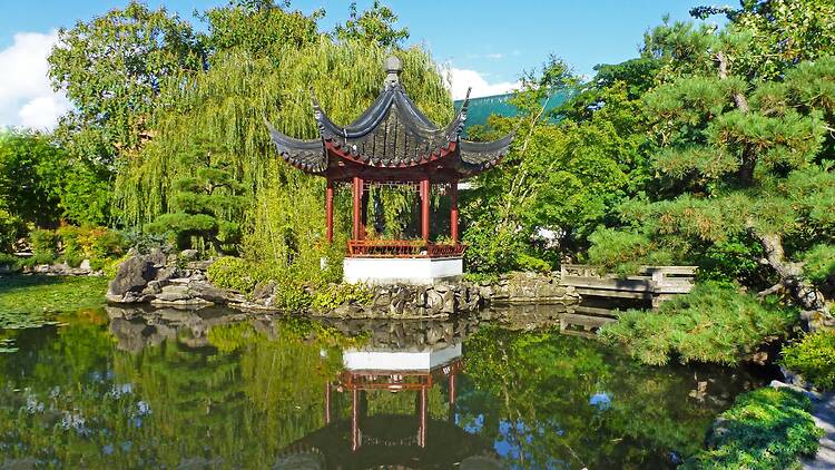 Visit a hidden Chinese garden in the middle of Chinatown Visit a hidden Chinese garden in the middle of Chinatown